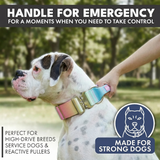 Collar táctico para perros - Glaseado Pastel