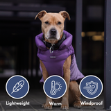 Purple PuffShield Jacket||size:S,M,L,XL,2XL,3XL,4XL