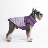 Purple PuffShield Jacket||size:S,M
