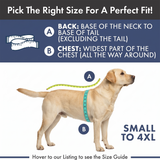 Blue Quilted Winter Jacket||size:S,M,L,XL,2XL,3XL,4XL