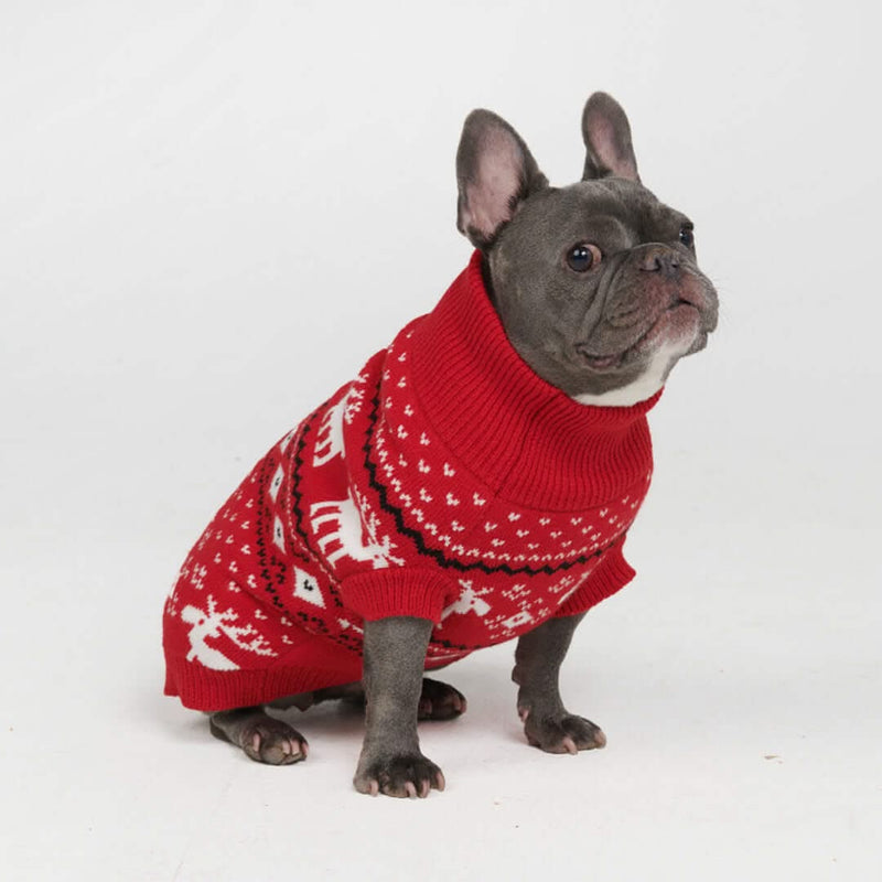 Dasher Red Dog Sweater