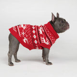 Dasher Red Dog Sweater