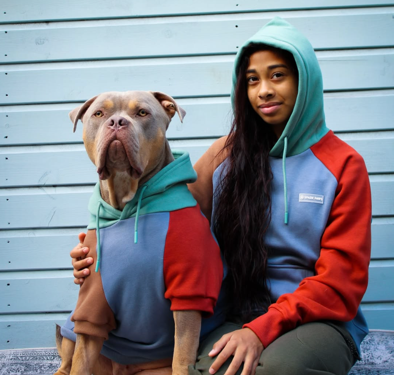 Alpine Dog Hoodie