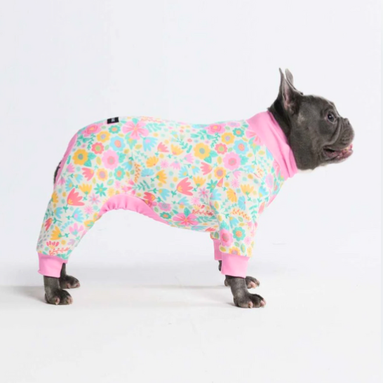 Pyjama pour Chien - Prés