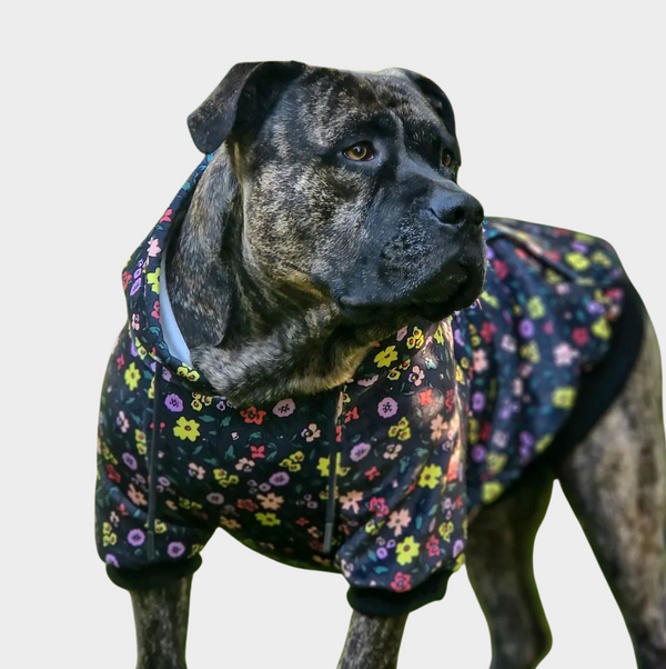 Vintage Bloemen Honden-Hoodie - Zwart