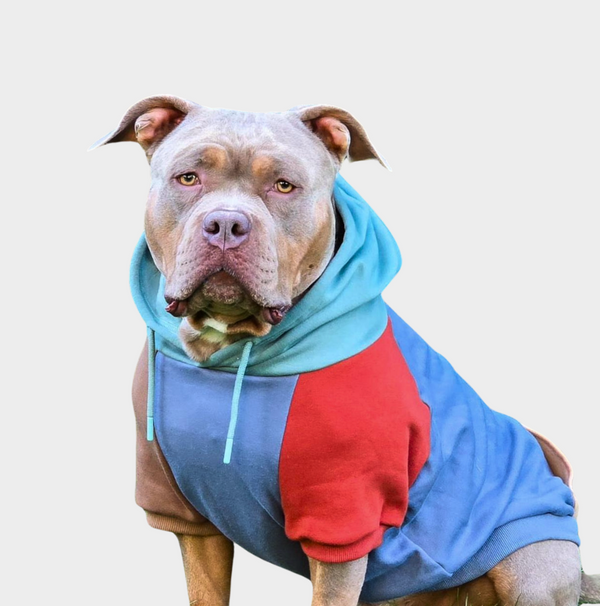 Sudadera para Perros - Alpino