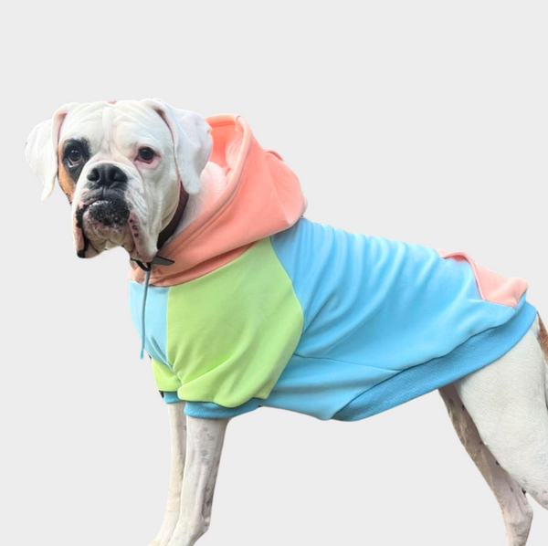 Jelly Bean Honden-Hoodie