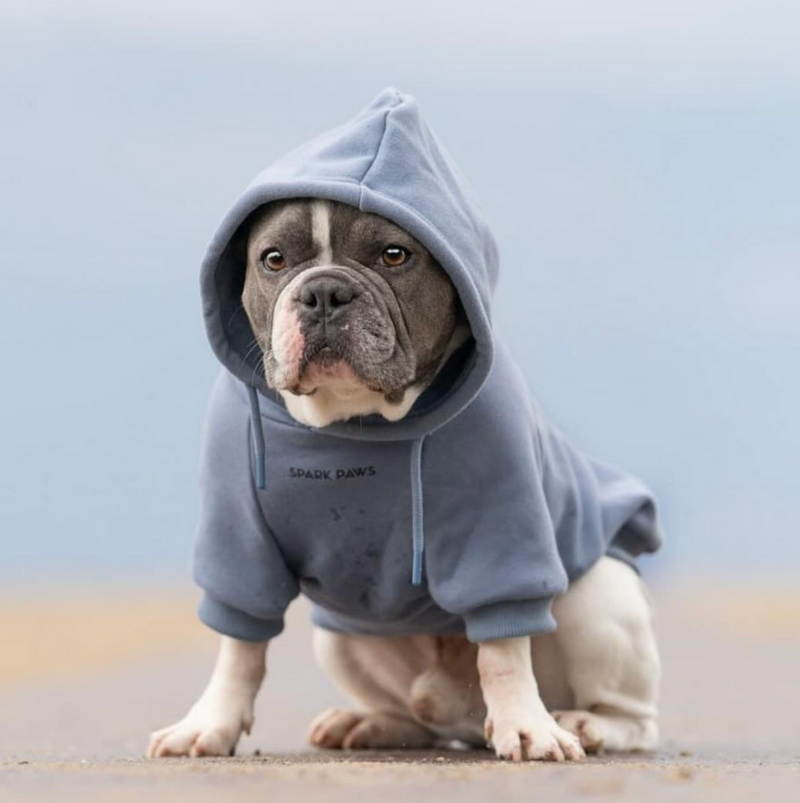 Pull à Capuche Essentiel Pour Chien - Bleu Ardoise