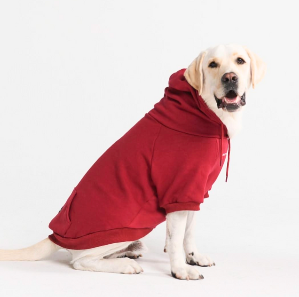 Maglione Essenziale per Cani - Bordeaux