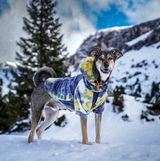 Pull à Capuche en velours Pour Chien - Nova