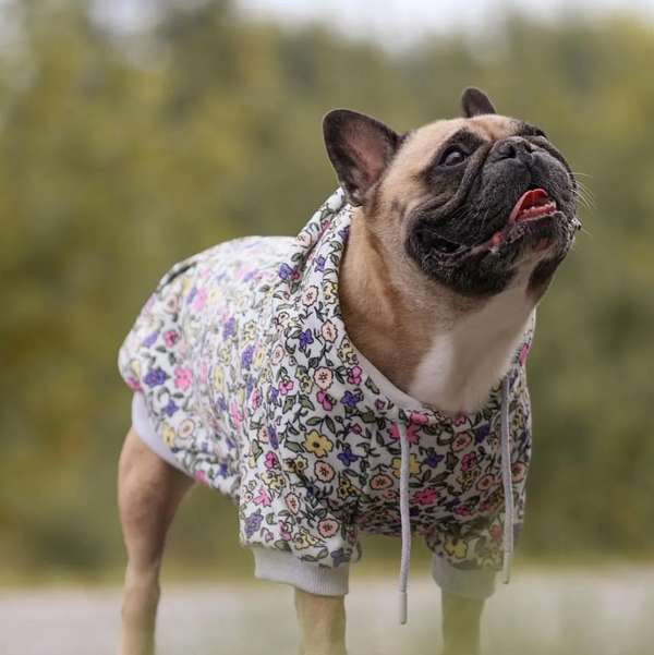 Vintage Flower Hoodie pour Chien - Gris Clair