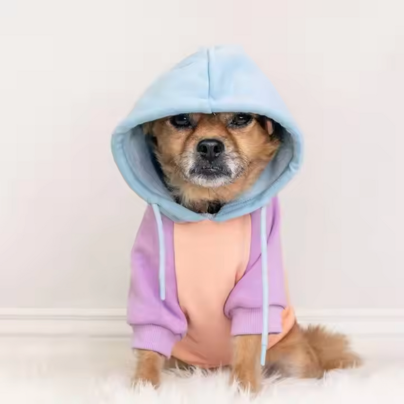 Cotton Candy Dog Hoodie