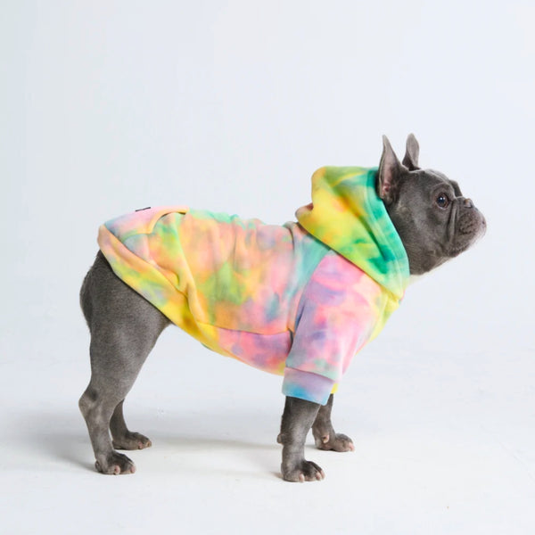 Velours Hoodie pour Chien - Groove