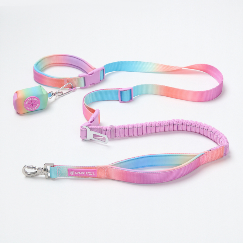 Pastel Icing Neoprene Leash