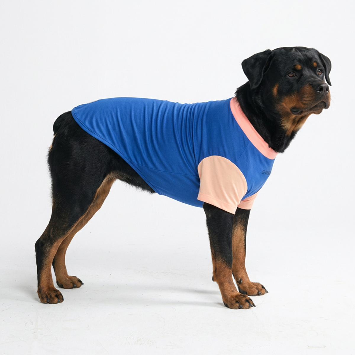 スパークパウズ犬の服、チェーン、首輪、その他 – SPARK PAWS