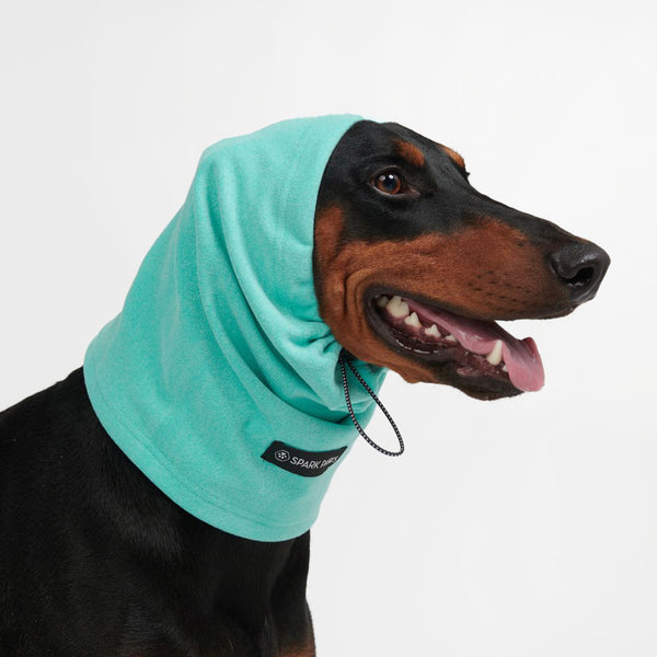 Protecteur d'oreilles anti-anxiété pour chien - Turquoise