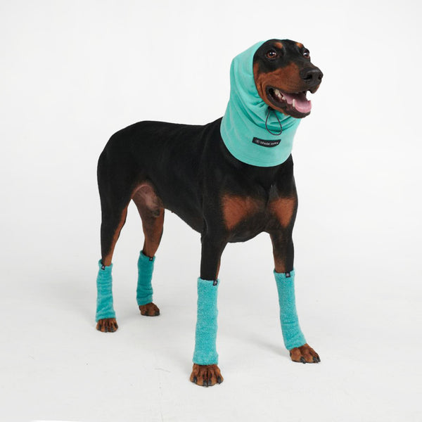 Protecteur d'oreilles anti-anxiété pour chien - Turquoise