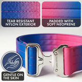 Collar táctico para perros - Cono de nieve