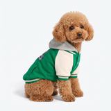 Green Varsity Jacket||size:S
