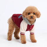 Red Varsity Jacket||size:S