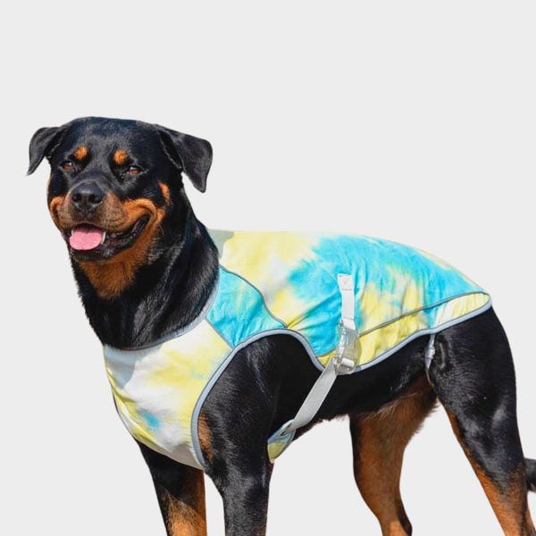 Gilet di raffreddamento per cani - Tempesta tropicale