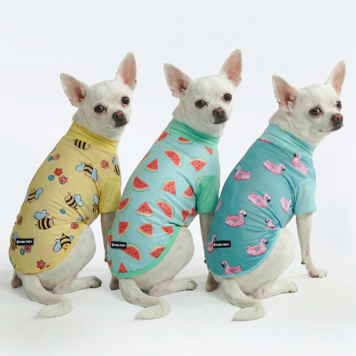 Spark Paws: Hundebekleidung, Zubehr, Geschirre & mehr  SPARK PAWS