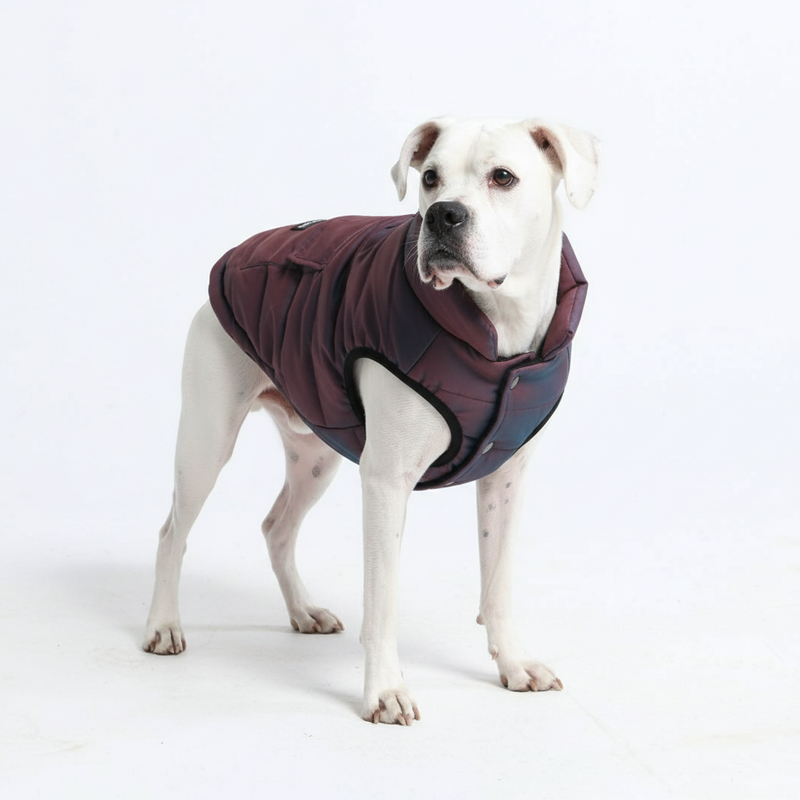 Giacca impermeabile WarmShield - Cosmic
