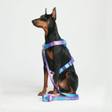 90s Retro Harness