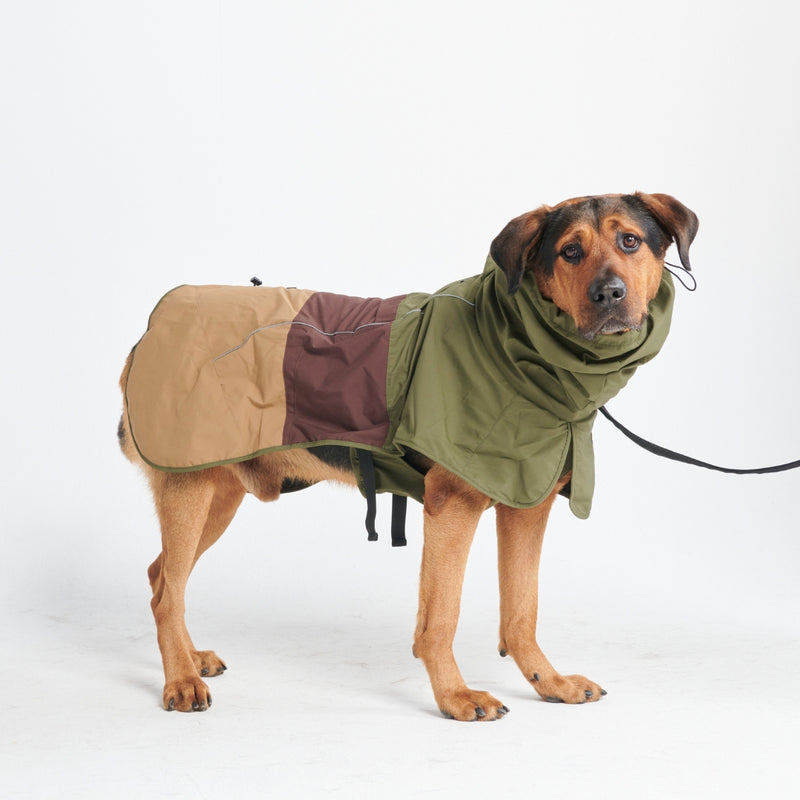 Dog Raincoat - Green Brown
