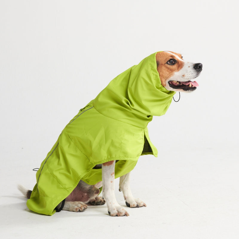 Dog Raincoat - Lime Green