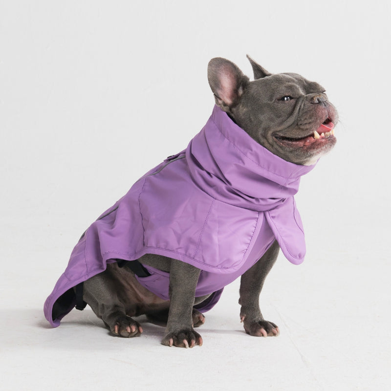 Dog Raincoat - Purple
