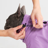 Dog Raincoat - Purple