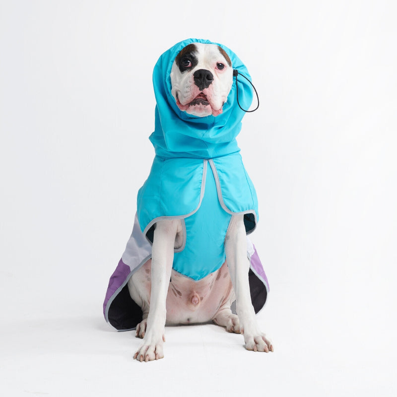 Dog Raincoat - Blue White Purple