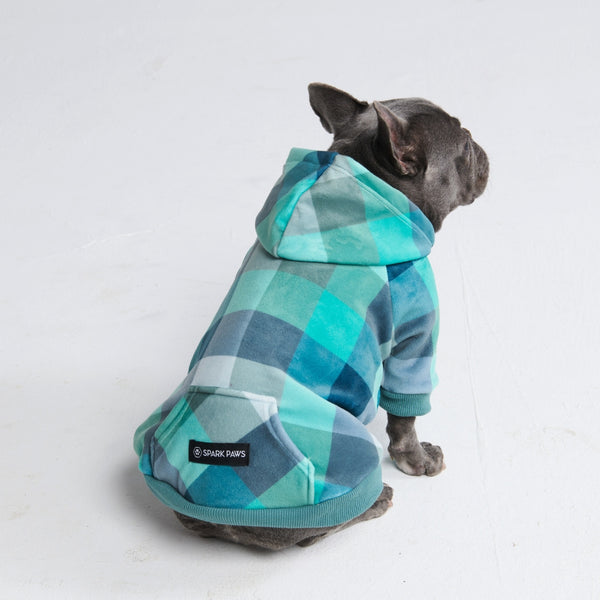 Sudadera con capucha de terciopelo para perros - Cuadros turquesa