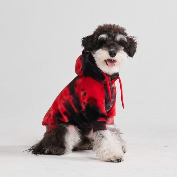 Pull à Capuche en velours Pour Chien - Rouge et Noir