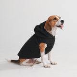 Teddy Sherpa Dog Jacket - Black