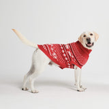 Maglione per cane lavorato a maglia - Dasher Rosso