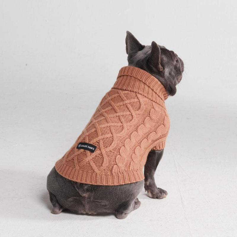 Suéter de punto de trenzas para perros - Marrón