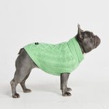 Pull en tricot pour chien - Vert menthe