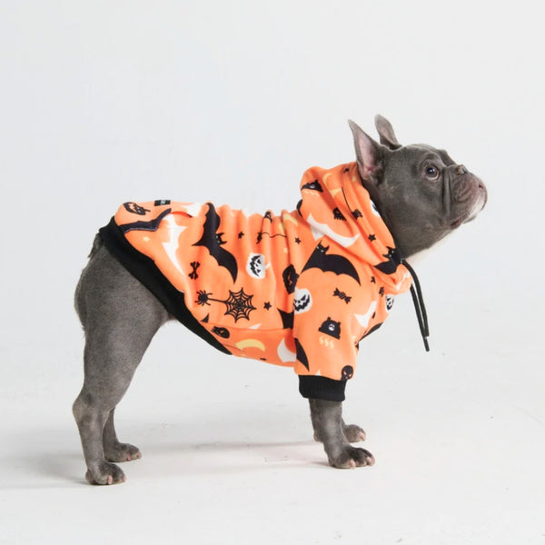 Sudadera con capucha para perro de Halloween - Naranja