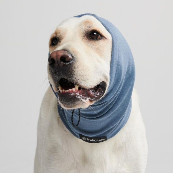 Protecteur d'oreilles anti-anxiété pour chien - Bleu Marine
