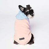 Maglione per Cani - Zucchero filato