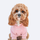 Maglione Essenziale per Cani - Rosa Antico