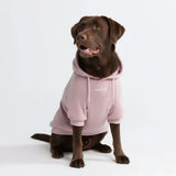 Maglione Essenziale per Cani - Lilla Talpa