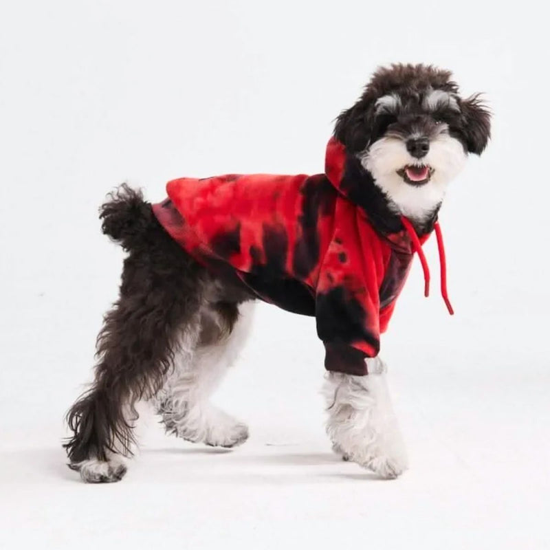 Maglione in Velluto per Cani - Rosso e Nero