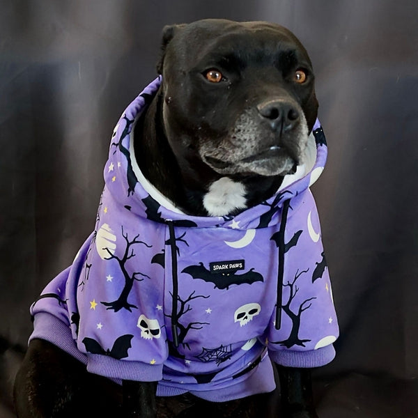 Felpa con cappuccio per cani di Halloween - Viola