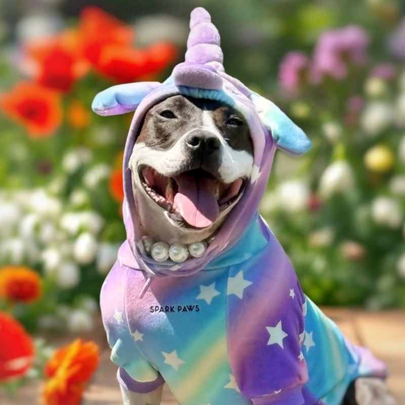 Felpa di Halloween per cani - Unicorno
