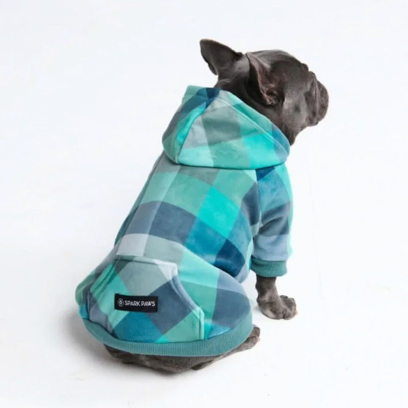 Maglione in Velluto per Cani - Turchese a Quadri