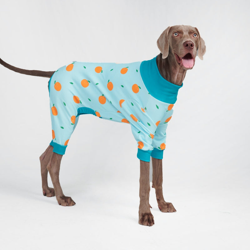 犬用パジャマ - オレンジ