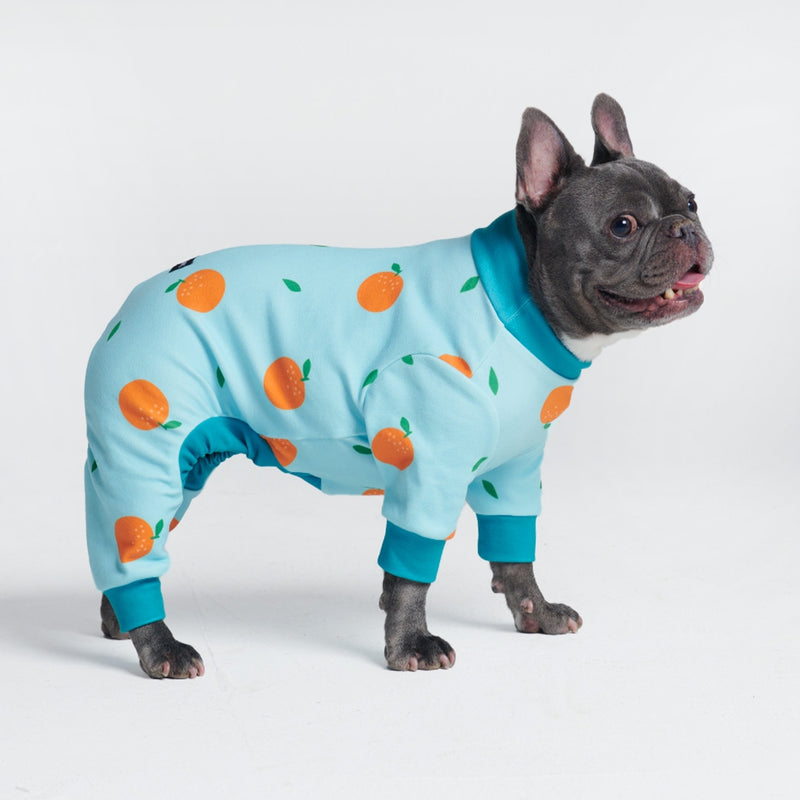 Pyjama pour chien - Oranges